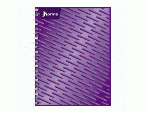 CUADERNO 200 H PROFESIONAL NORMA 