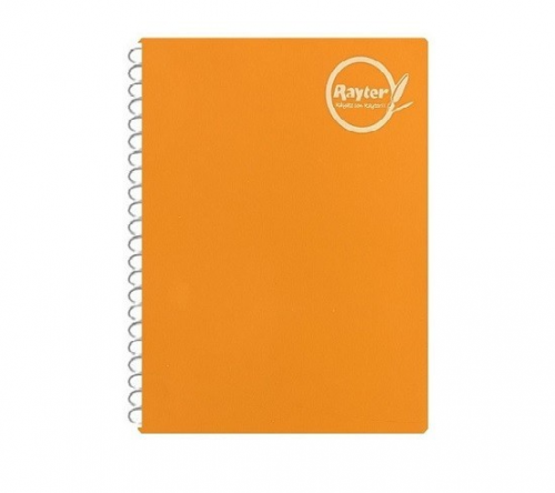 CUADERNO FORMA FRANCESA 100H ESPIRAL RAYTER