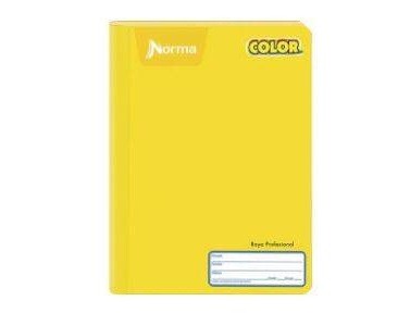 CUADERNO PROFESIONAL COSIDO100 HOJAS NORMA