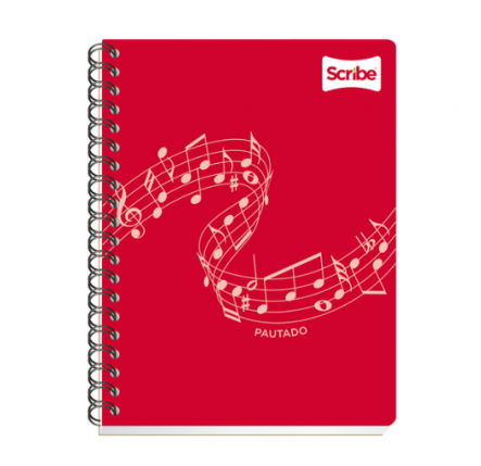 CUADERNO SCRIBE PAUTADO PROFESIONAL 100H