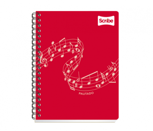 CUADERNO SCRIBE PAUTADO PROFESIONAL 100H