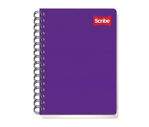 CUADERNO F/FRANCESA ESCOLAR SCRIBE 100HJS. 