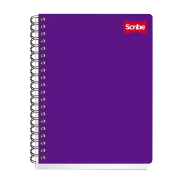 CUADERNO PROFESIONAL CLASICO ESPIRAL  100HJAS